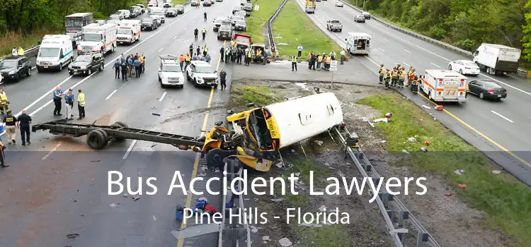 Bus Accident Lawyers Pine Hills - Florida